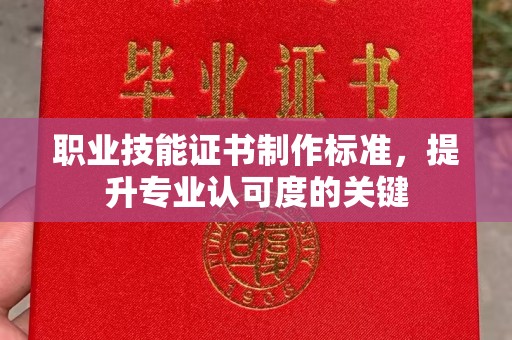 桂阳职业技能证书制作标准，提升专业认可度的关键