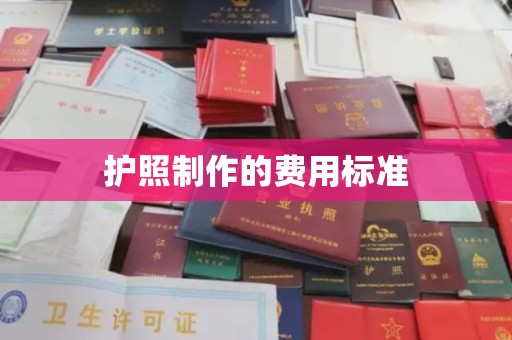 桂阳护照制作的费用标准