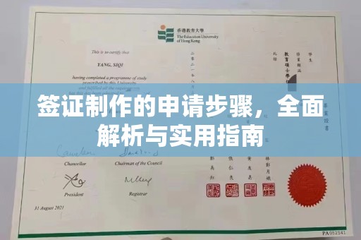 桂阳签证制作的申请步骤，全面解析与实用指南