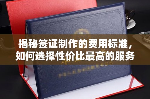 桂阳揭秘签证制作的费用标准，如何选择性价比最高的服务？