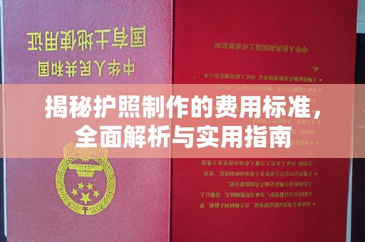 桂阳揭秘护照制作的费用标准，全面解析与实用指南