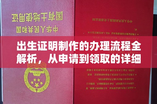 桂阳出生证明制作的办理流程全解析，从申请到领取的详细指南