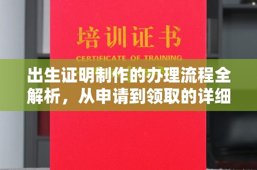 桂阳出生证明制作的办理流程全解析，从申请到领取的详细指南
