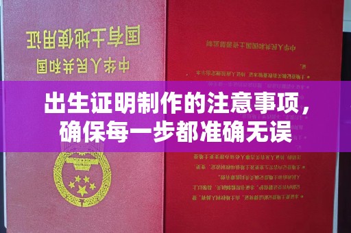 桂阳出生证明制作的注意事项，确保每一步都准确无误