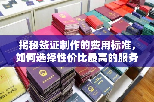 桂阳揭秘签证制作的费用标准，如何选择性价比最高的服务？
