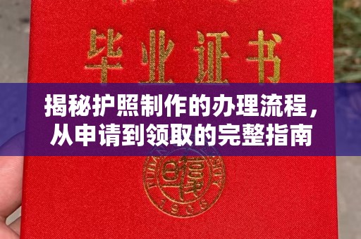 桂阳揭秘护照制作的办理流程，从申请到领取的完整指南
