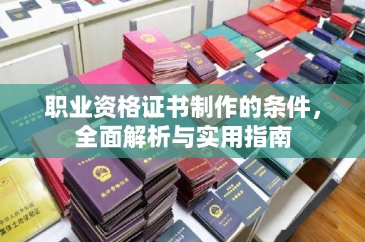 桂阳职业资格证书制作的条件，全面解析与实用指南