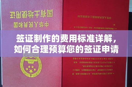 桂阳签证制作的费用标准详解，如何合理预算您的签证申请成本
