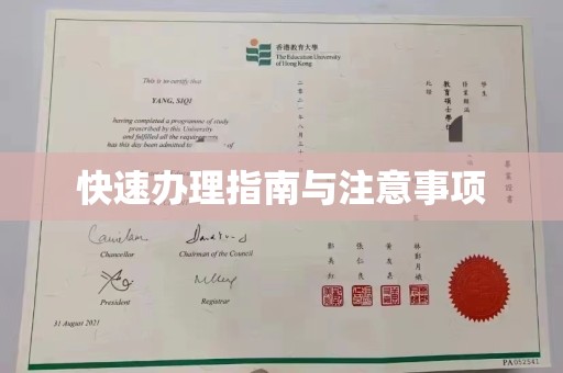 桂阳快速办理指南与注意事项